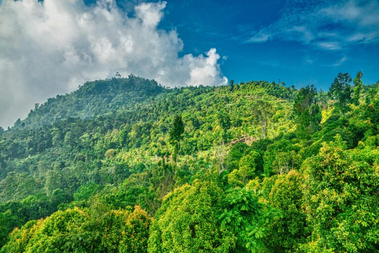 Explore the lush green hills and vibrant landscape of Gunung Karang in Banten, Indonesia, under a bright sky.